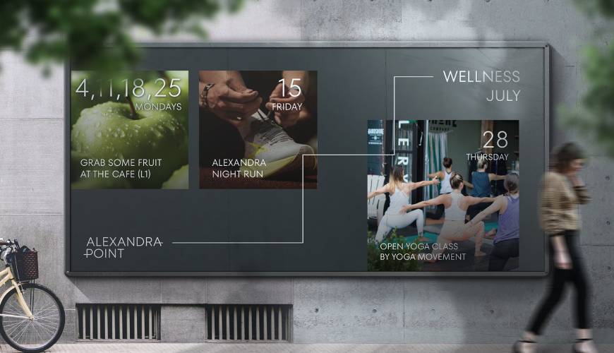 米脂县画册设计公司如何进行品牌审核